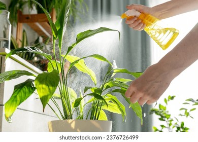 Woman sprays plants in flower pots at home. Indoor gardening. Caring for houseplants home. Interior with lots of plants. - Powered by Shutterstock