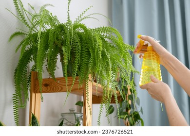 Woman sprays plants in flower pots at home. Indoor gardening. Caring for houseplants home. Interior with lots of plants. - Powered by Shutterstock