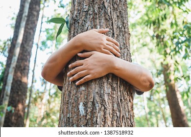 A Woman Stand Behind And Give A Hug To The Old Tree In The Tropical Forest