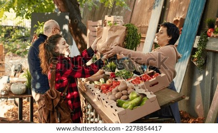 Woman stand owner putting fresh produce in bag to sell to young customer, choosing natural bio products. Happy client receiving homegrown natural eco fruits and vegetables, farmers market.