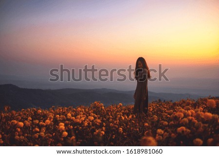 Image, Stock Photo Summer flowers before summer flower dress