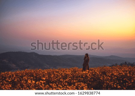 Similar – Image, Stock Photo Summer flowers before summer flower dress