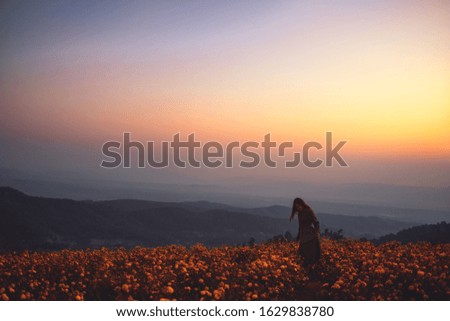 Similar – Image, Stock Photo Summer flowers before summer flower dress