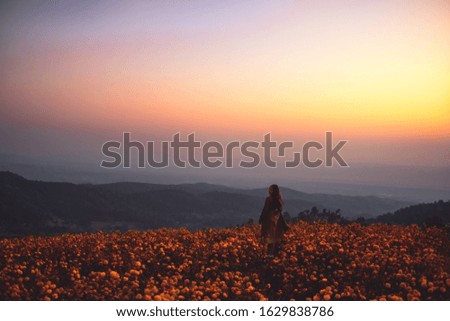 Similar – Image, Stock Photo Summer flowers before summer flower dress