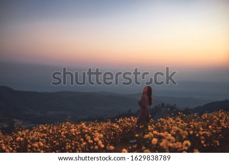 Similar – Image, Stock Photo Summer flowers before summer flower dress