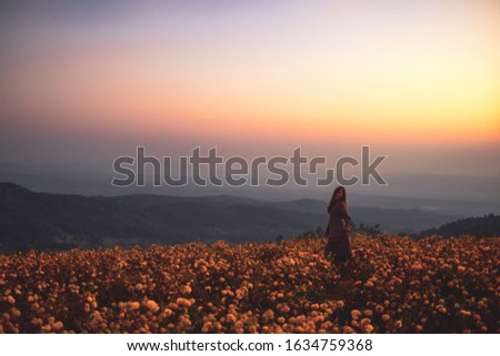 Similar – Image, Stock Photo Summer flowers before summer flower dress