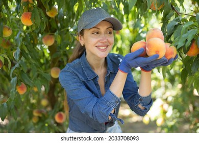 69,223 Peach hand Images, Stock Photos & Vectors | Shutterstock