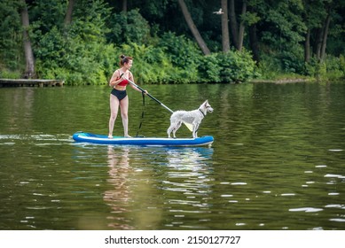 Woman Standing On Paddle Sup Board With Her White Dog.