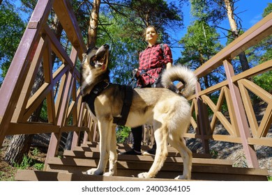 Woman standing on a wooden staircase with a dog. Walking with pets - Powered by Shutterstock