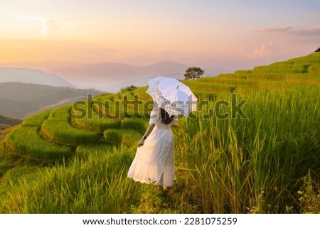 Woman is standing in the rice field under white umbrella