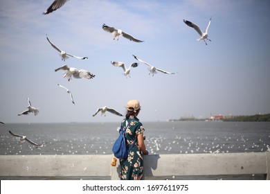 A woman standing watching the seagulls in Bang Pu, Thailand