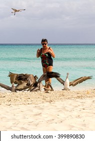 Woman Startled By A Flock Of Pelicans