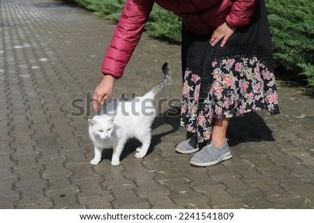 a woman strokes a cat on the street