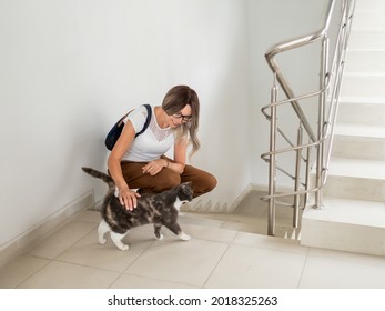 Woman strokes fluffy stray cat on indoor staircase of apartment building. Undomestic animal purrs of pleasure. Pet adoption. Taking care of homeless animals.