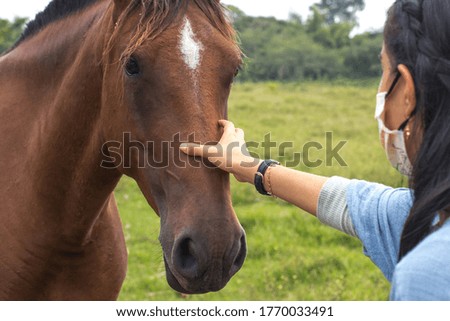 woman stroking her horse on the head