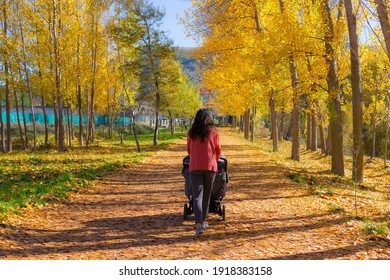 Woman Strolling Baby Cart In An Autumn Landscape