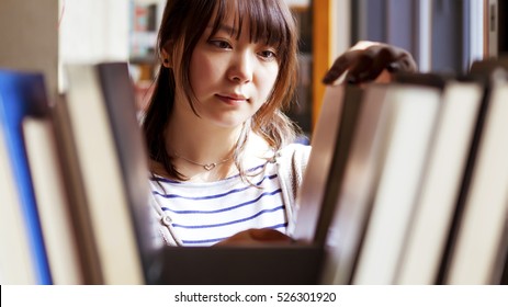 Woman Studying In The Library