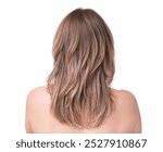 Woman with stylish haircut on white background, back view