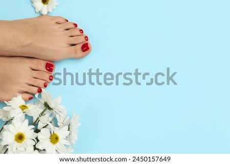 Woman with stylish red toenails after pedicure procedure and chamomile flowers on light blue background, top view. Space for text