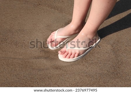 Similar – Image, Stock Photo sandpiper Flip-flops