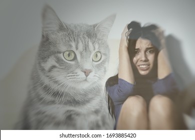 Ailurophobia Images Stock Photos Vectors Shutterstock