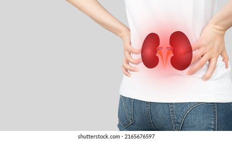 Woman Suffering From Low Back Pain With Kidney Anatomy Shape. Cause Of Flank Pain Include Urinary Tract Infection, Kidney Infection, Kidney Stone, An Injury Or Kidney Cancer. Nephrology Concept.