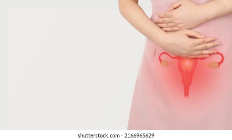 Woman Suffering From Pelvic Pain With Uterus And Ovaries Anatomy. Cause Of Pain Inclued Dysmenorrhea, Edometriosis, PCOS, PMS, STDs, Gynecologic Cancer. Reproductive System And Woman Health Problems.