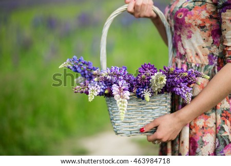 Woman in summer dress holding wicker basket with a large luxury bouquet of blue lupins, walk in the park
