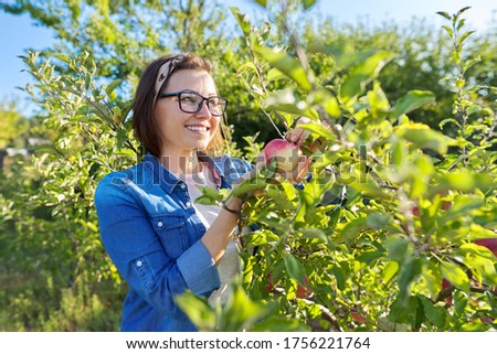 Similar – Image, Stock Photo Woman picking apples with basket in her hands