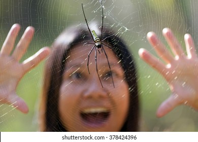 Woman Surprised And Scared To See A Tropical Golden Orb Spider, Thailand