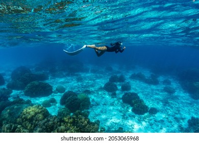 woman swimming freediving to see coral reefs,Racha Island in Phuket, Thailand.