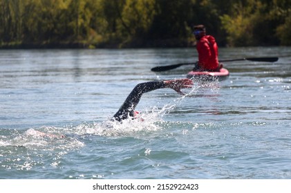 Woman Swimming In A River, Open Water Competition, Triathlon.