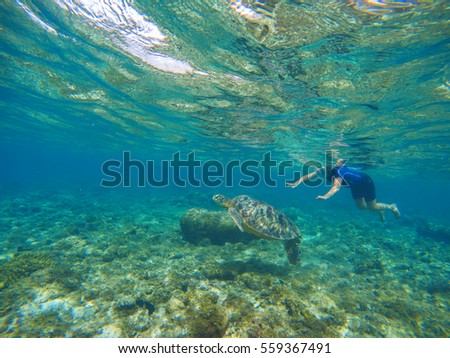 Woman swimming with sea turtle. Exotic sea animal. Tropical island vacation sport activity. Woman snorkeling with green turtle underwater photo. Sea turtle with swim woman in mask and snorkeling gear