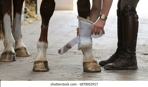 Woman tacking a horse up, dressage boots