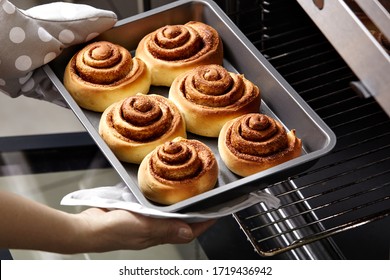 A woman takes out fresh buns from the oven. Cinnamon rolls are baked in the oven. Homemade baking.