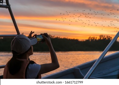 A Woman Takes A Photo With Her Phone During A Sunset Tour In Pasir Penambang, Malaysia. The Main Attractions Of This Area Are The Sky Mirror, Fireflies Watching And Eagle Feedings.