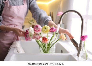 Woman Taking Care Of Cut Fresh Ranunculus Flowers In Kitchen, Closeup