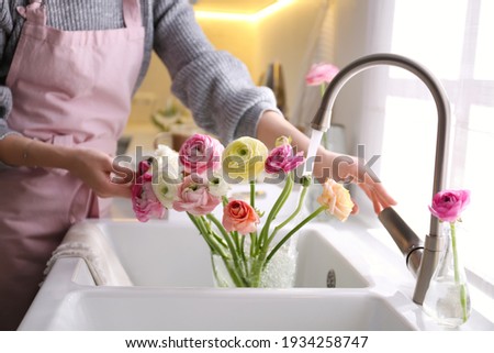 Woman taking care of cut fresh ranunculus flowers in kitchen, closeup