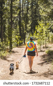 A Woman Taking Dogs For A Walk In A Forest. The Woman Is Wearing A Bright Tie Die T Shirt.