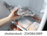 Woman taking frozen fish out of fridge, closeup