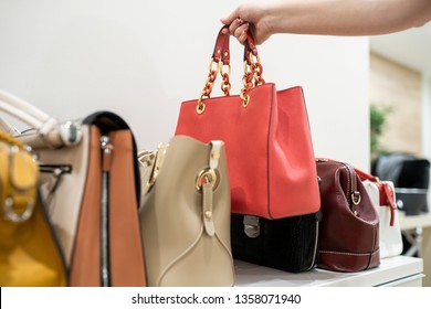 Woman Taking Her Favourite Handbag From Collection Of Expensive Fashinable Bags Standing On The Shelf