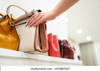 Woman Taking Her Favourite Handbag From Collection Of Expensive Fashinable Bags Standing On The Shelf