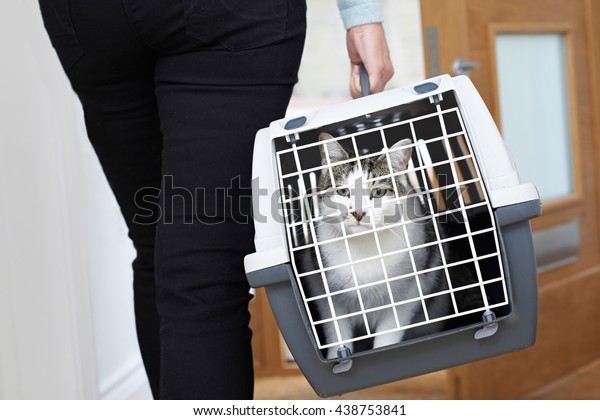 Woman Taking Pet Cat To
Vet In Carrier