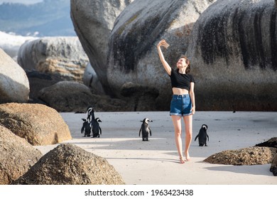 Woman taking selfie photos with penguins at Boulders beach, Cape Town, South Africa - Powered by Shutterstock