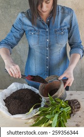 Woman taking soil to fill a potted plant