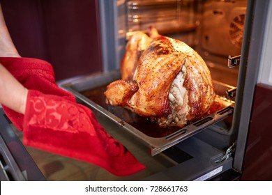 Woman Taking Turkey Out Of Oven On A Kitchen Background. Roasted, Traditional Turkey Cooking. Christmas Turkey.