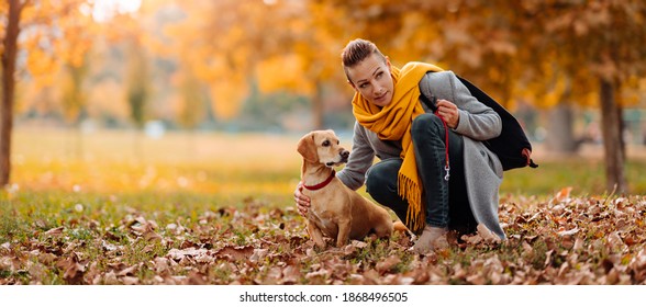 Woman Talking To A Dog At The Park In Autumn