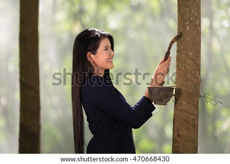 woman tapping in rubber tree row agricultural