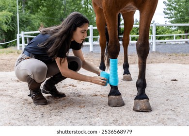 A woman is tending to a horse's leg with a blue bandage. The horse is brown and is standing in a field - Powered by Shutterstock