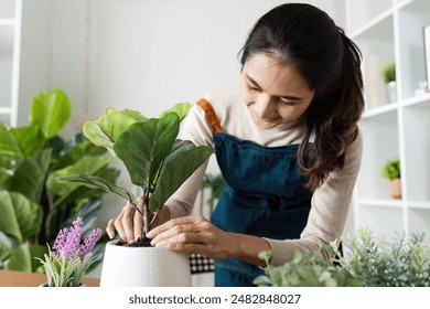 Woman Tending to Indoor Plants in a Small Business Setting, Engaging in a Gardening Hobby with a Smile - Powered by Shutterstock